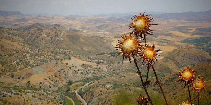 Crystal Clear Style 71: Redefining Vaporwave Fashion for Your Personal Image