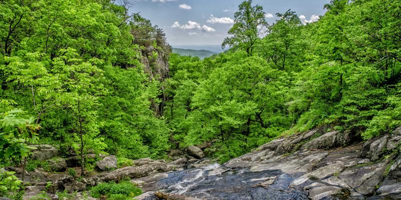 Crystal Clear Style 95：以橙色时尚点亮穿搭协调的艺术