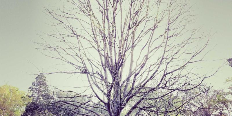 Crystal Clear Style97: Elevating Orange Fashion with Bold Coordination