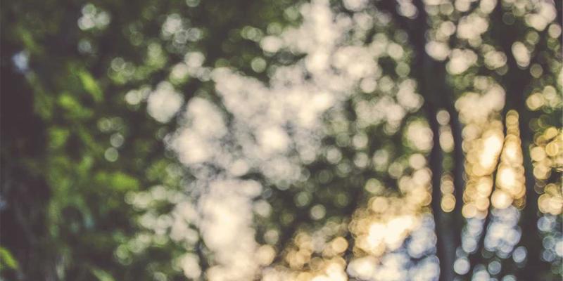 Crystal Clear Style：定义未来主义时尚的透明美学与风格指南