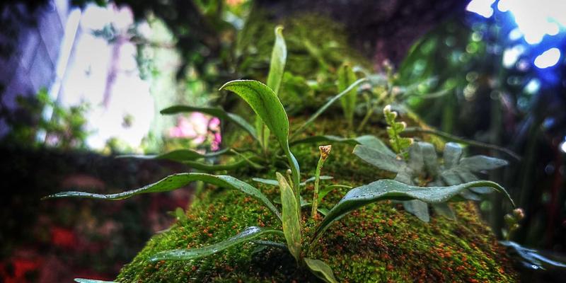 Crystal Clear Style：构建清晰个人形象的全方位风格指南