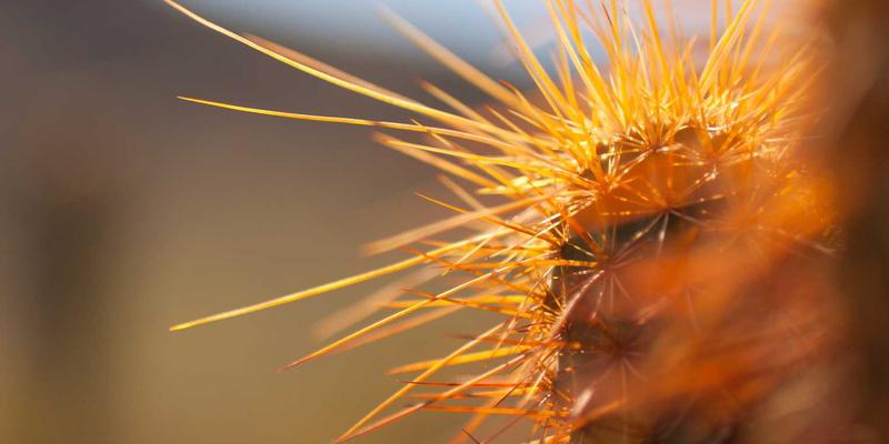 Crystal Clear会议纪要：像Orange Fashion定义风格指南一样，打造可行动的知识透明体