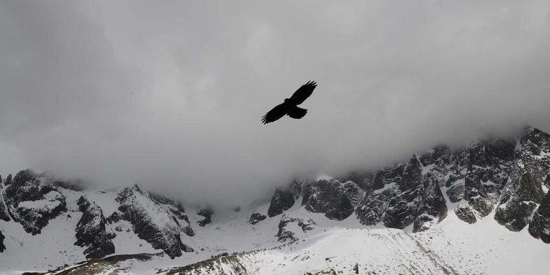 Crystal Clear反馈文化：像Orange Fashion打造个人形象一样塑造团队沟通风格