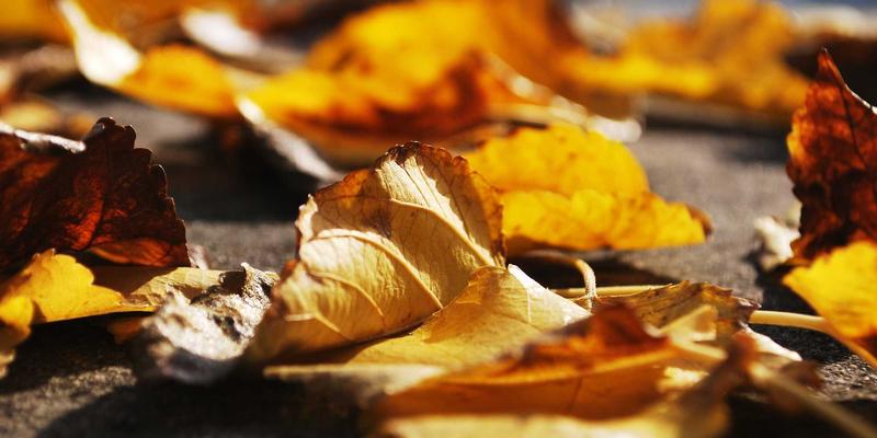 Crystal Clear沟通法则：像时尚搭配一样协调远程团队的透明对话系统