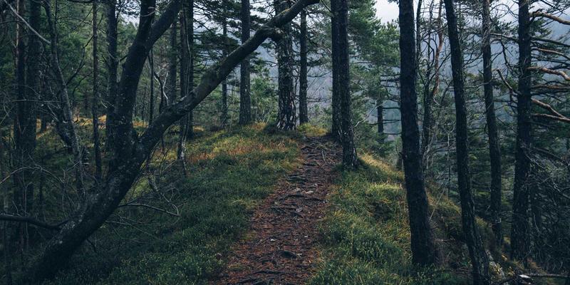 Crystal Clear沟通法则：如何通过个人形象与风格指南，透明处理职场敏感对话