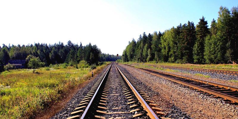 Crystal Clear领导力：如何通过透明决策构建高信任度团队