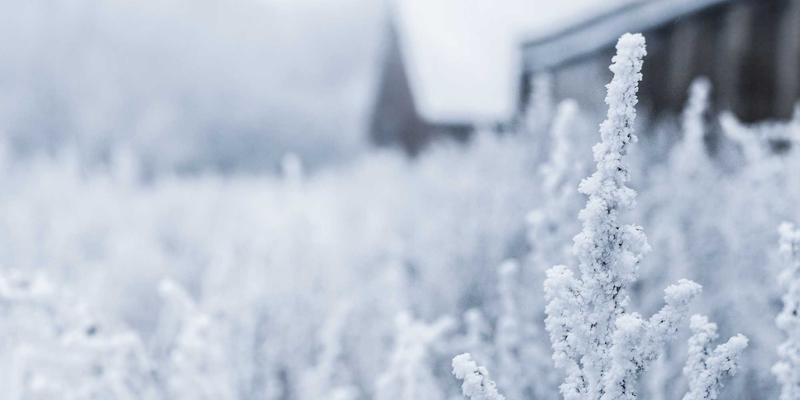 从Vaporwave到时尚协调：用橙色点亮你的Crystal Clear极简主义家居