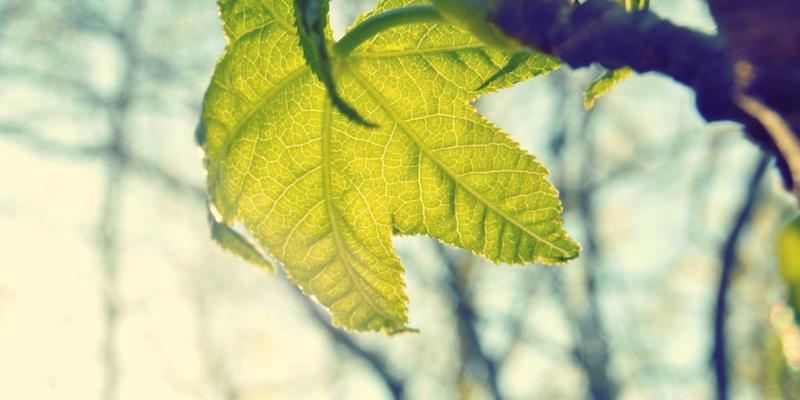 打造Crystal Clear反馈文化：用清晰沟通塑造卓越个人形象与橙色时尚团队