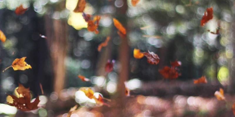 透明化社交媒体策略：用Crystal Clear风格指南塑造真实个人形象